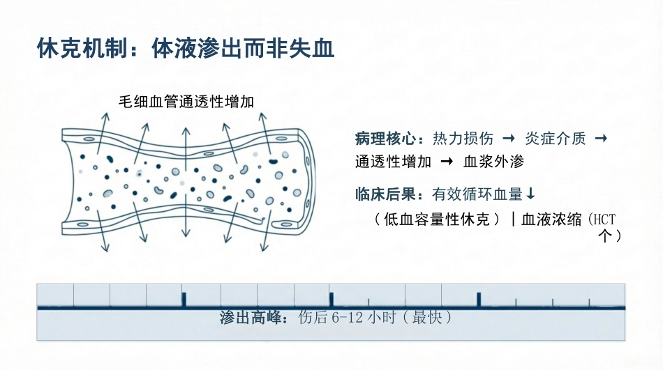 重度烧伤液体复苏与休克护理_第7页