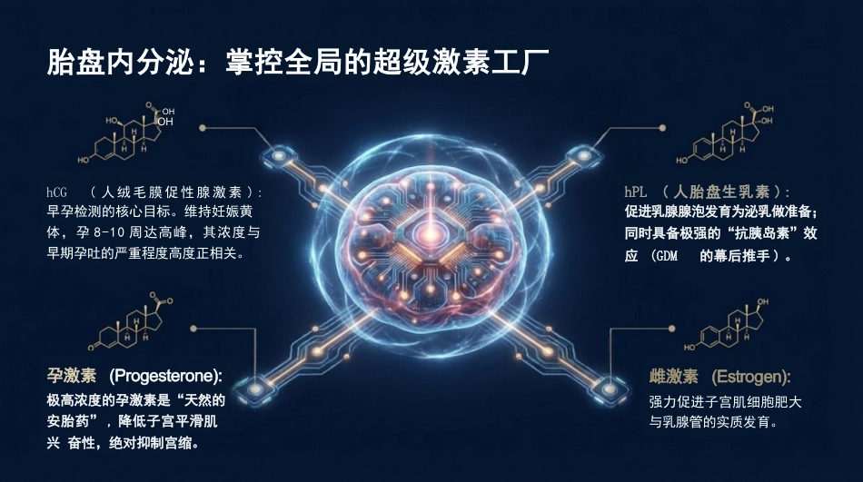 孕产期生理巨变与代谢重塑_第14页