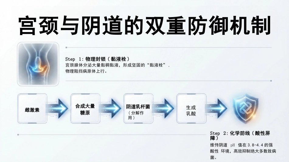 孕产期生理巨变与代谢重塑_第6页