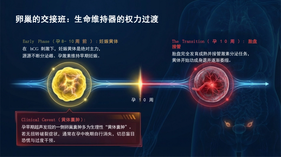 孕产期生理巨变与代谢重塑_第7页