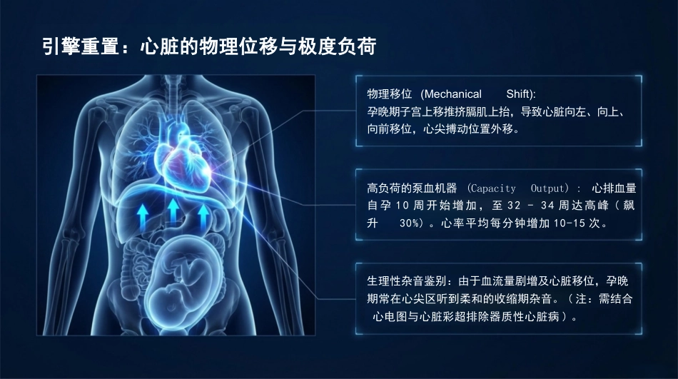孕产期生理巨变与代谢重塑_第8页