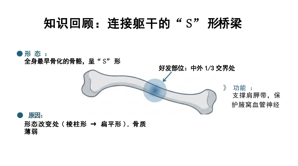 右锁骨骨折护理查房_第7页