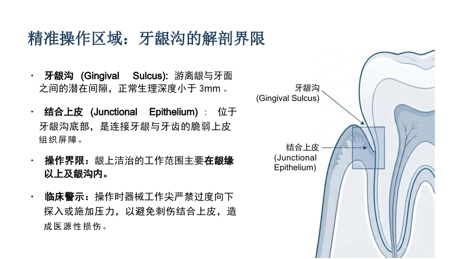 龈上洁治术_第4页