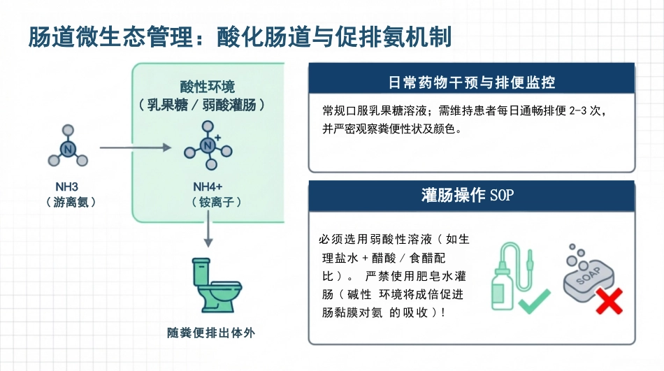 乙肝相关肝衰竭临床护理方案_第10页