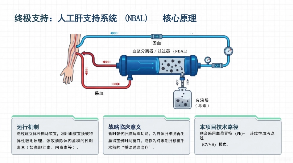 乙肝相关肝衰竭临床护理方案_第13页