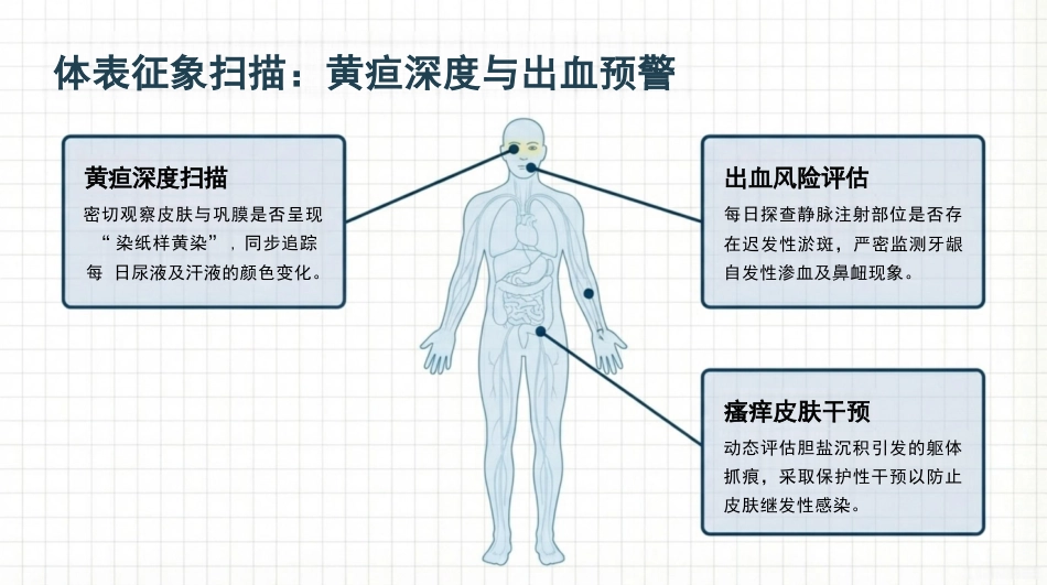 乙肝相关肝衰竭临床护理方案_第8页