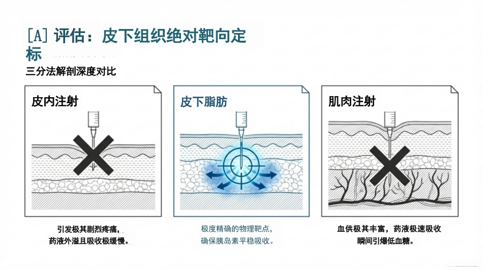 胰岛素规范化注射_SOP_3.0_第3页