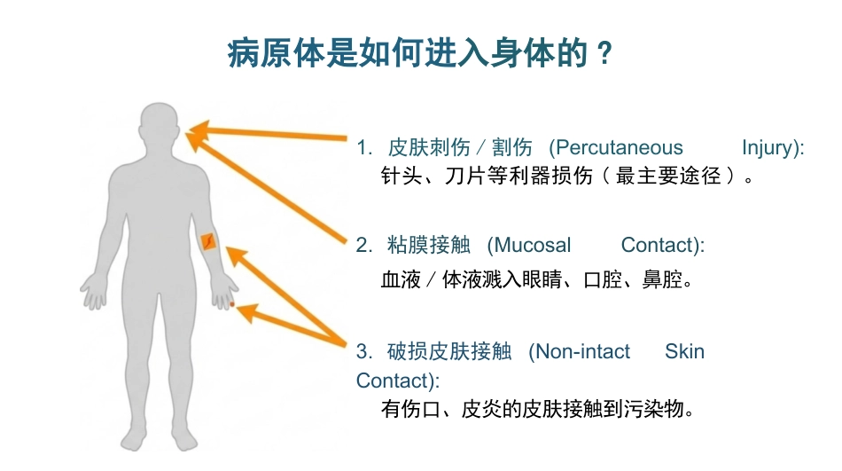 医务人员职业暴露及防范_第12页