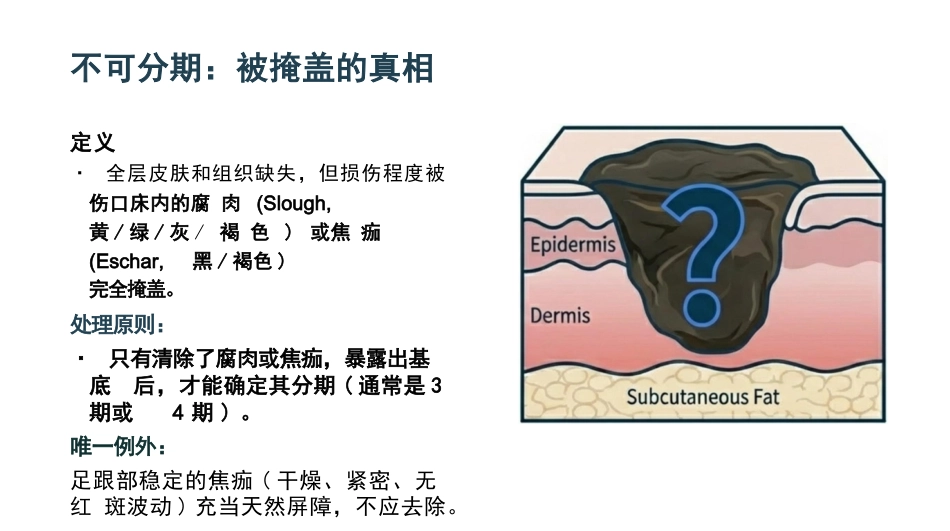 压力性损伤最新分期与护理_第11页