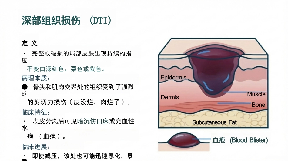 压力性损伤最新分期与护理_第12页