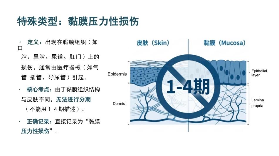 压力性损伤最新分期与护理_第14页