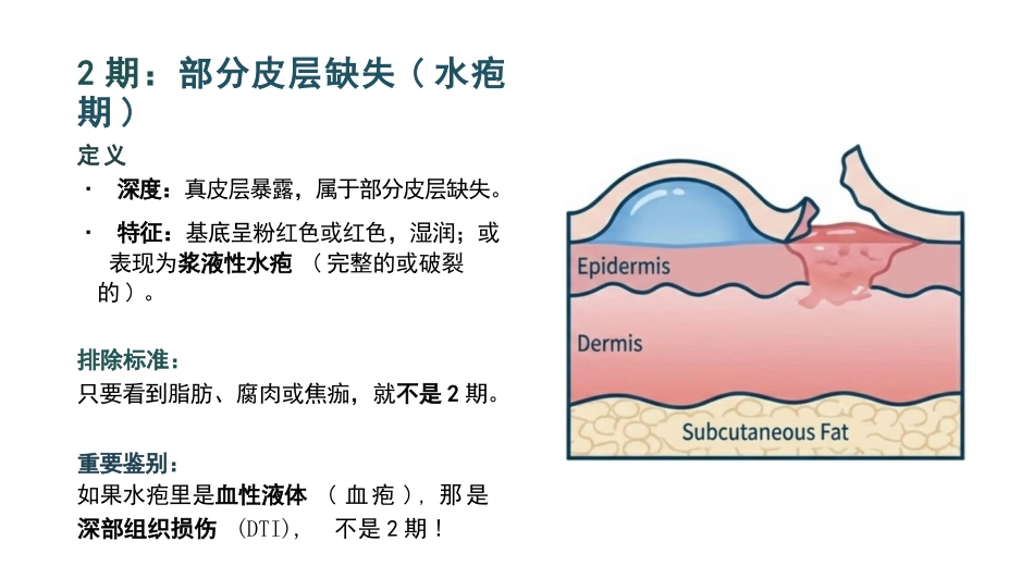 压力性损伤最新分期与护理_第8页
