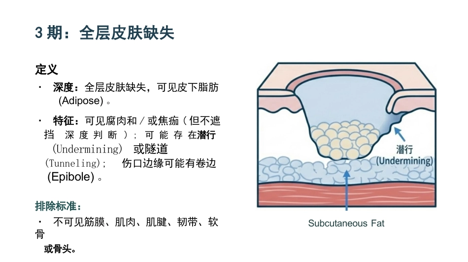 压力性损伤最新分期与护理_第9页