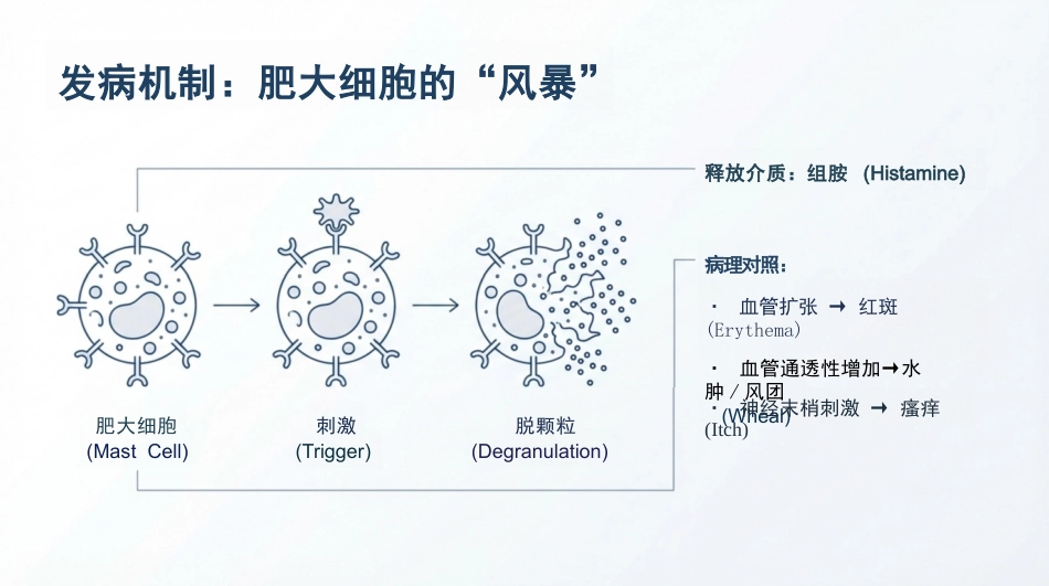 荨麻疹治疗与护理_第4页
