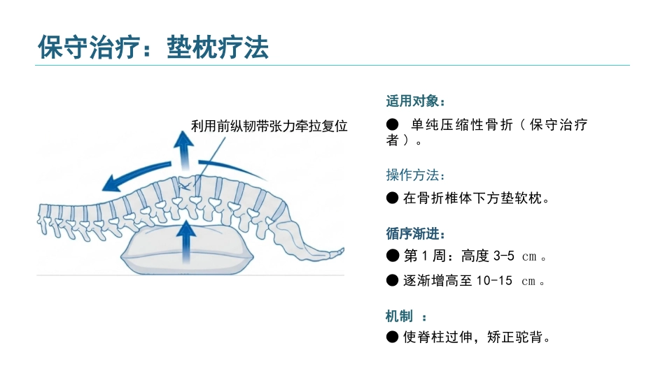 胸椎骨折围术期核心护理_第13页