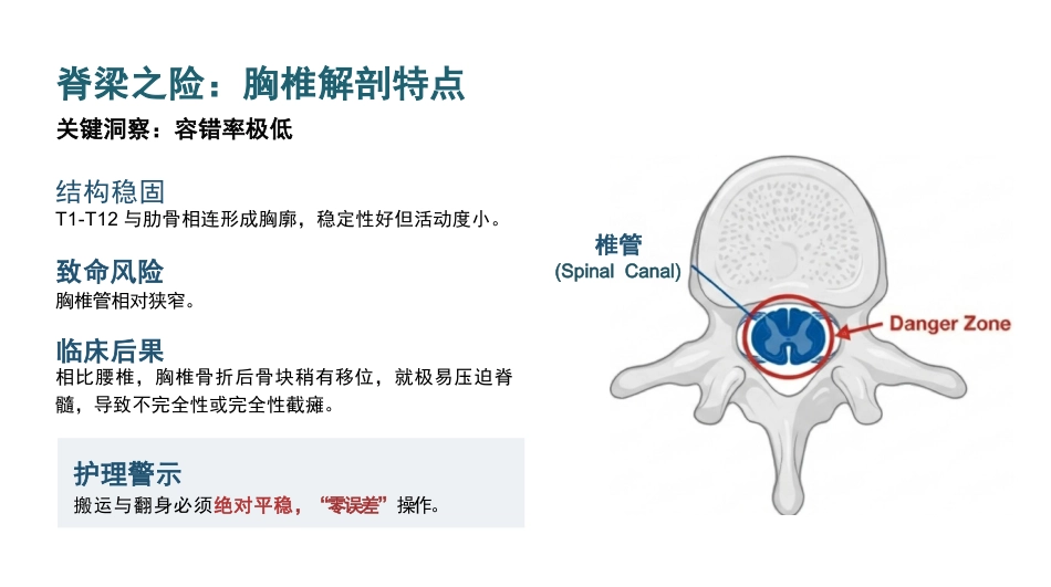 胸椎骨折围术期核心护理_第3页