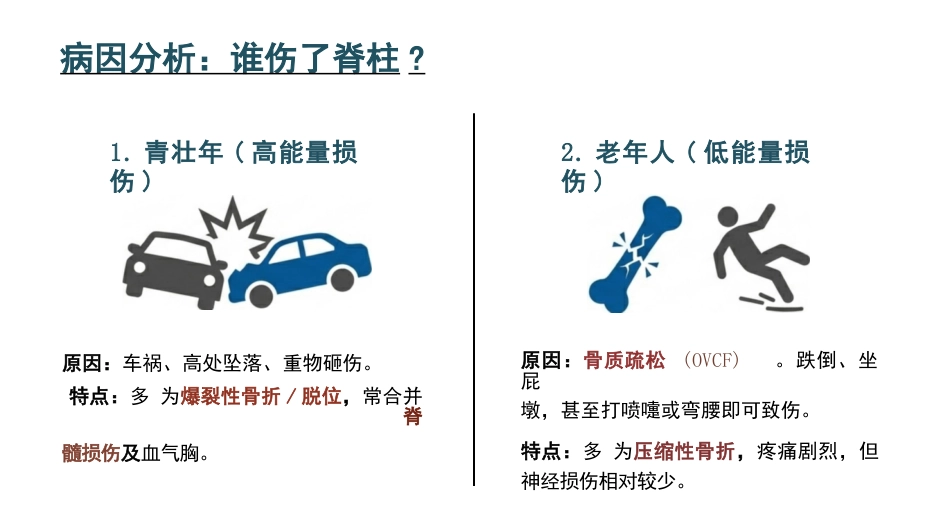 胸椎骨折围术期核心护理_第5页