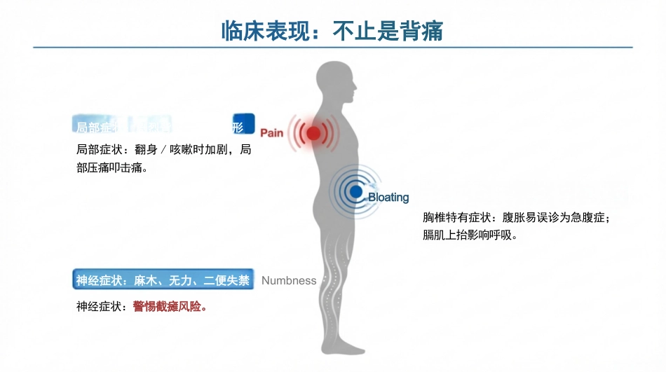 胸椎骨折围术期核心护理_第6页