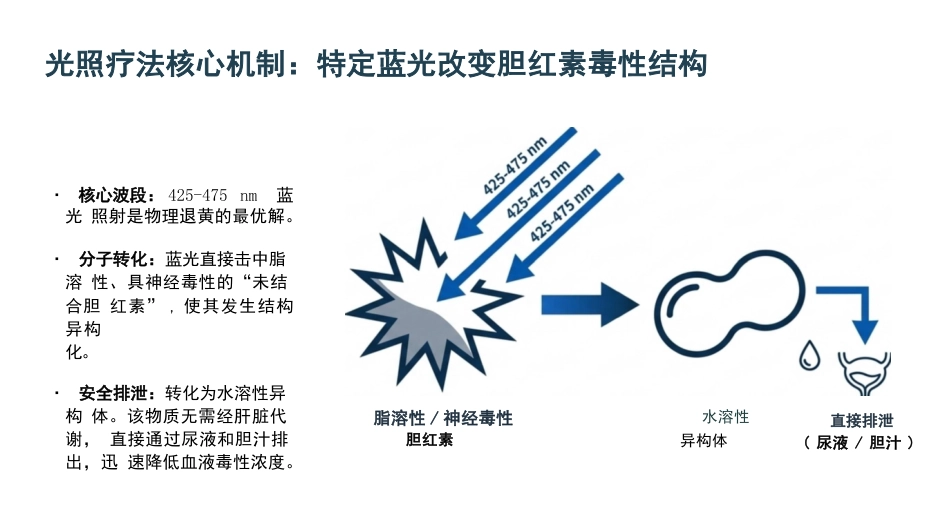 新生儿黄疸规范化操作_第10页