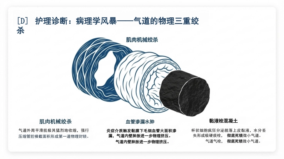 小儿哮喘护理查房_第7页