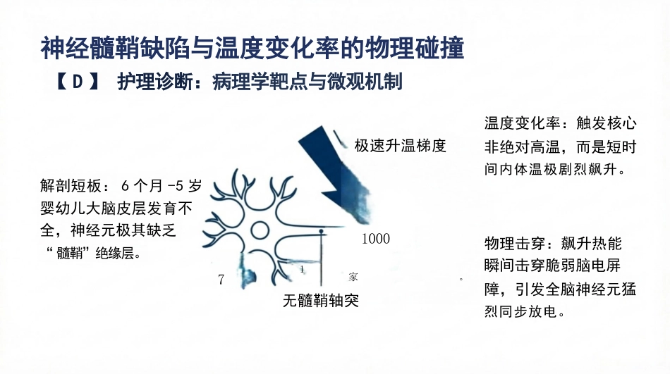 小儿高热惊厥护理查房_第7页