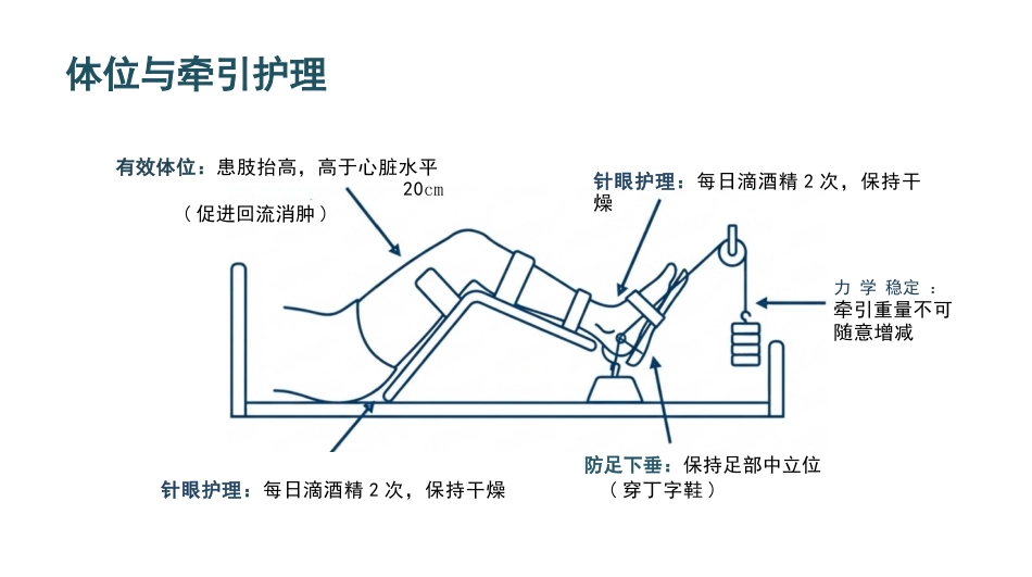 下肢骨折ERAS护理精要_第11页