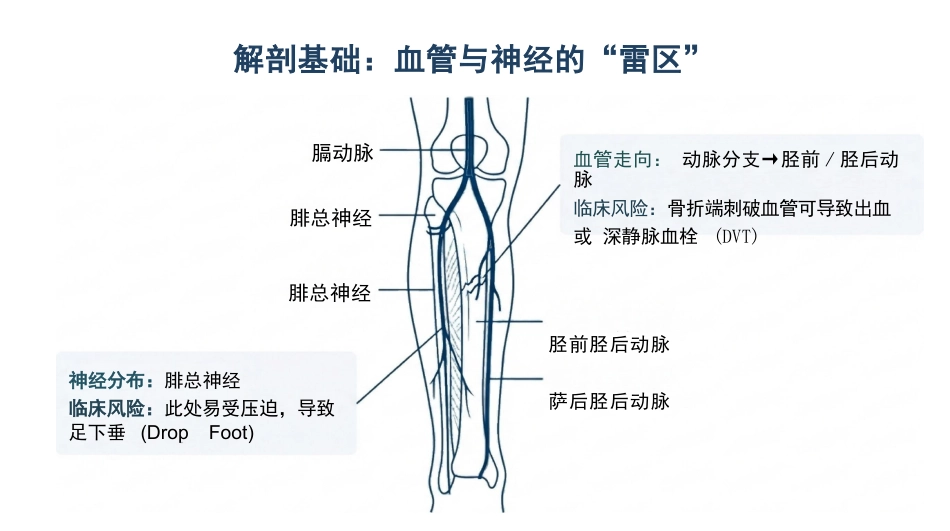 下肢骨折ERAS护理精要_第6页