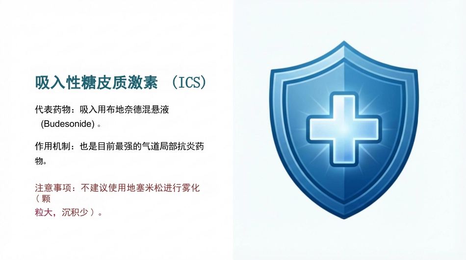 雾化吸入健康宣教_第9页