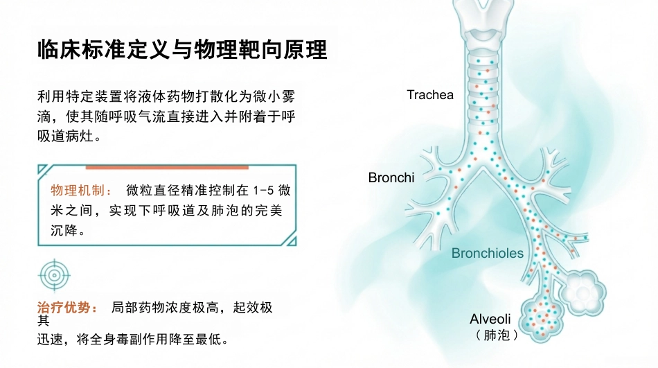 雾化吸入操作指南_第3页