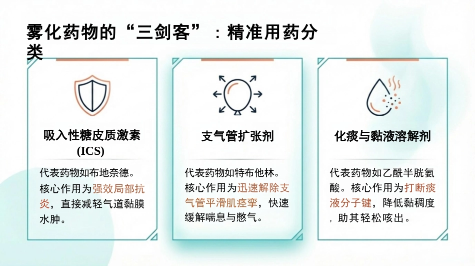 雾化吸入操作指南_第5页