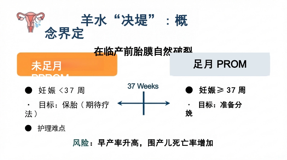 胎膜早破的护理查房_第3页