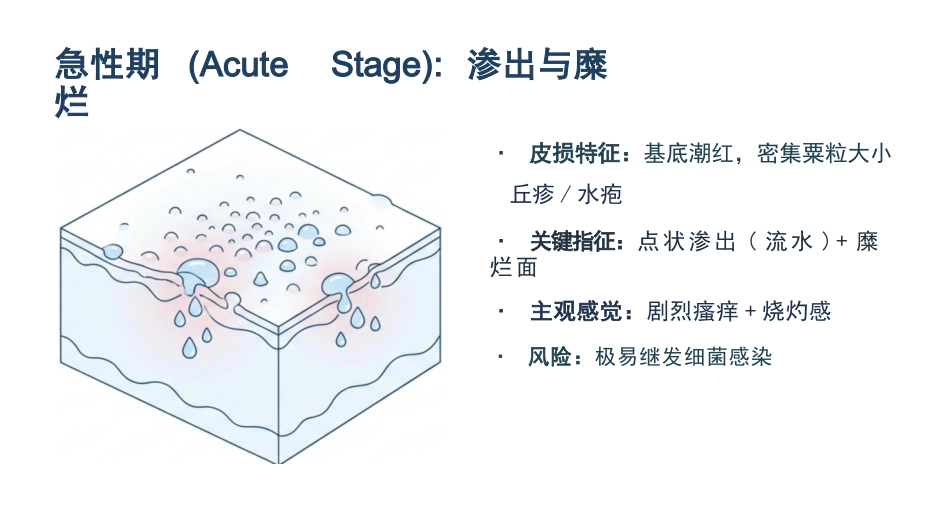 湿疹临床护理_第7页