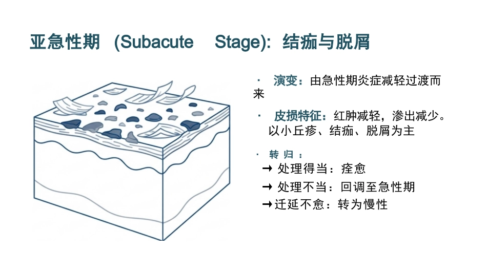 湿疹临床护理_第8页