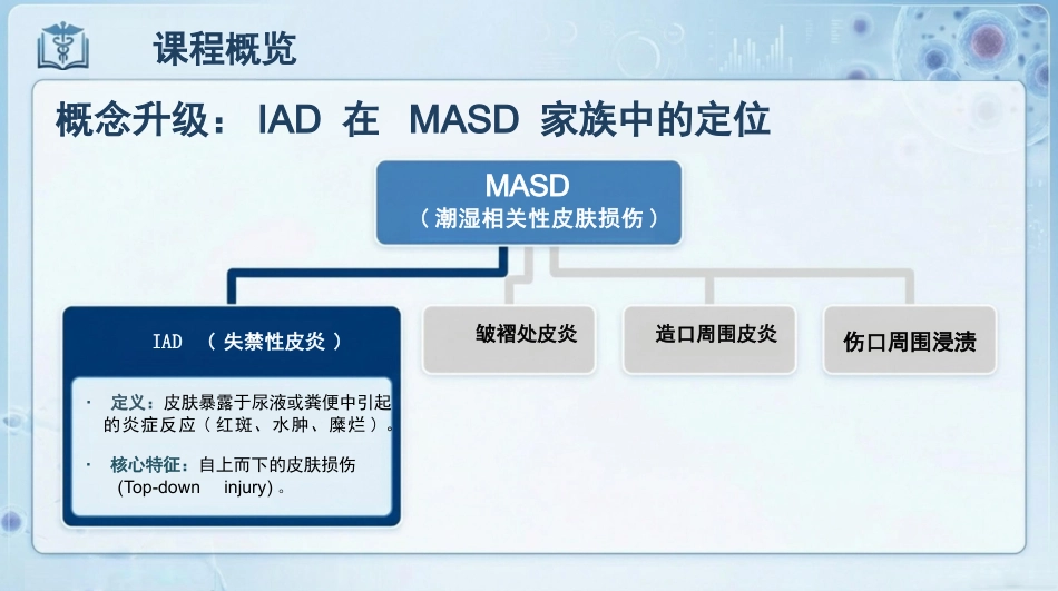 失禁性皮炎预防与护理_第3页