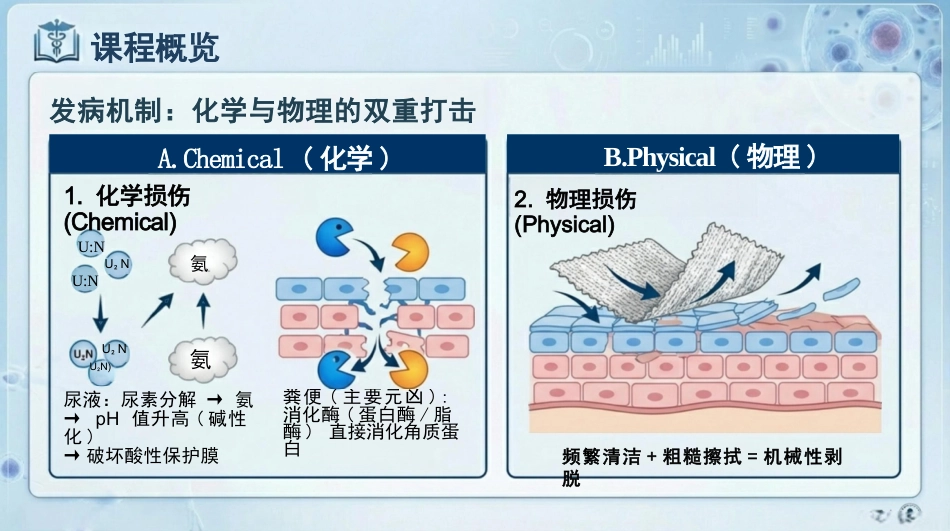 失禁性皮炎预防与护理_第5页