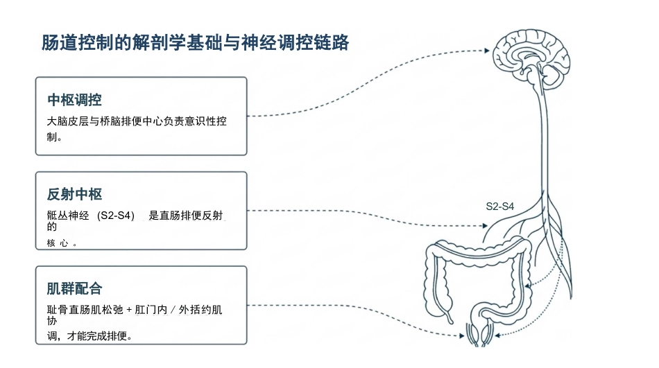 神经源肠道康复护理与标准化训练_第3页