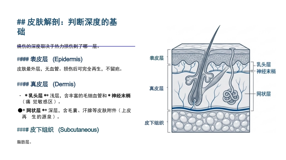 烧烫伤的现场急救与护理_第3页