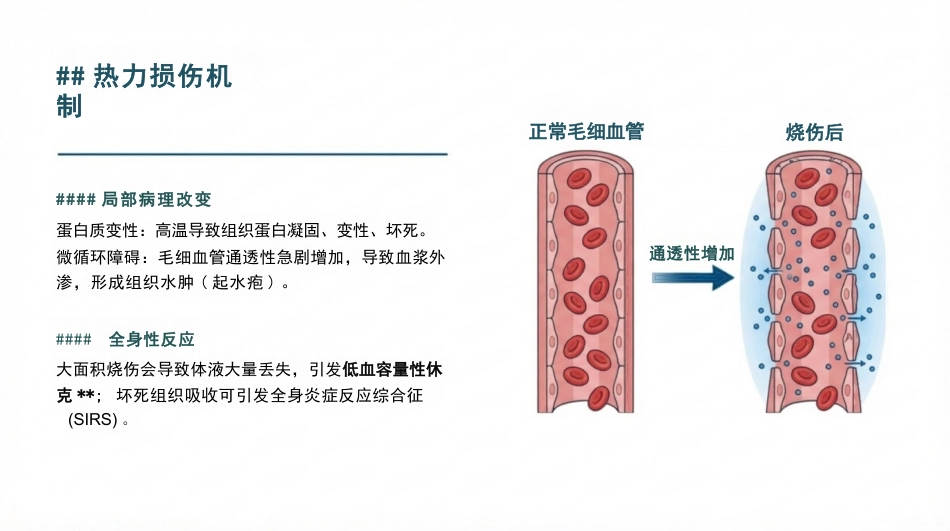 烧烫伤的现场急救与护理_第4页