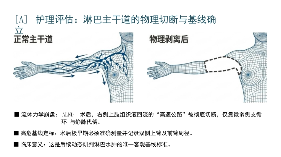 乳腺癌术后护理查房_第5页