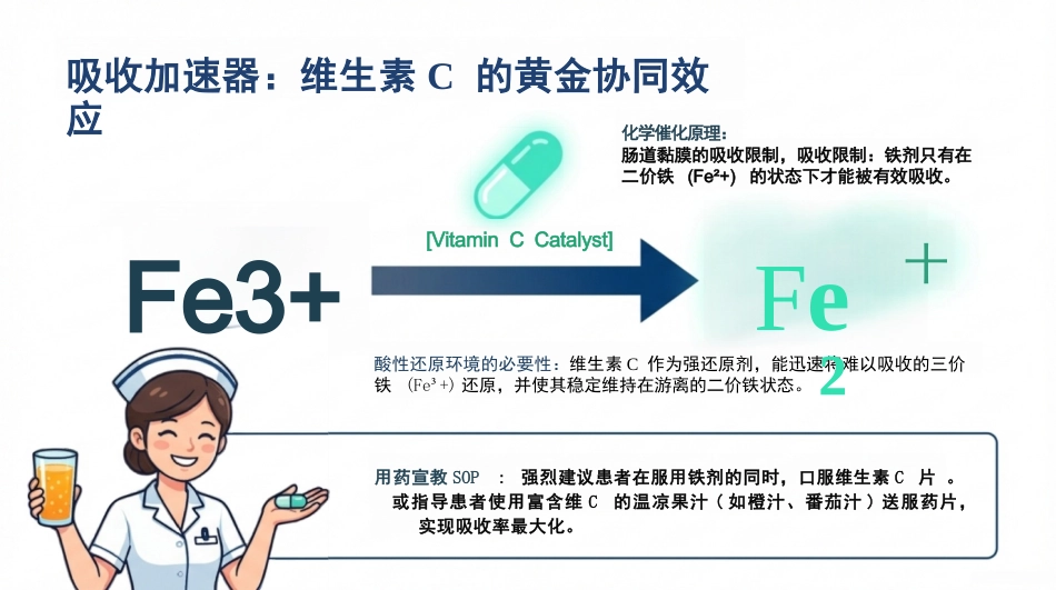 缺铁性贫血护理查房_第13页