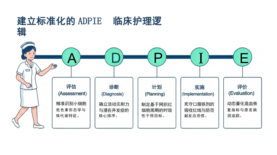 缺铁性贫血护理查房_第2页