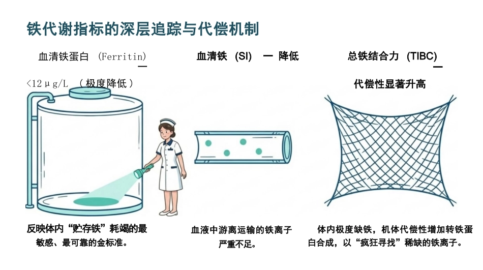 缺铁性贫血护理查房_第5页