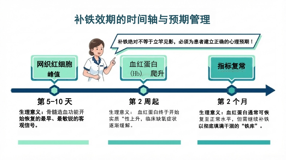 缺铁性贫血护理查房_第8页