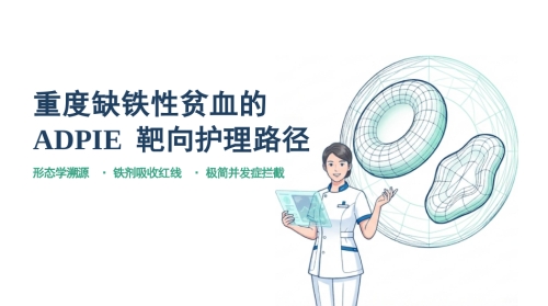 缺铁性贫血护理查房