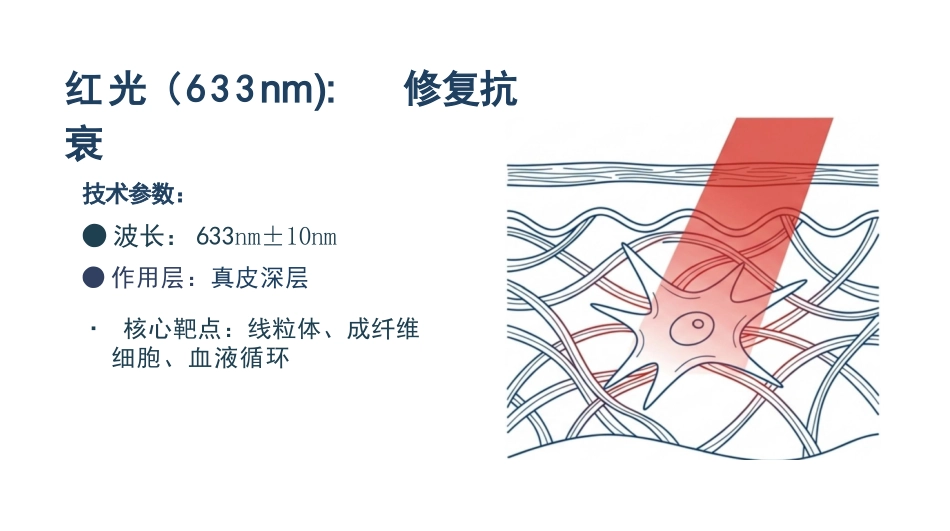 皮肤科红蓝黄光治疗护理_第10页