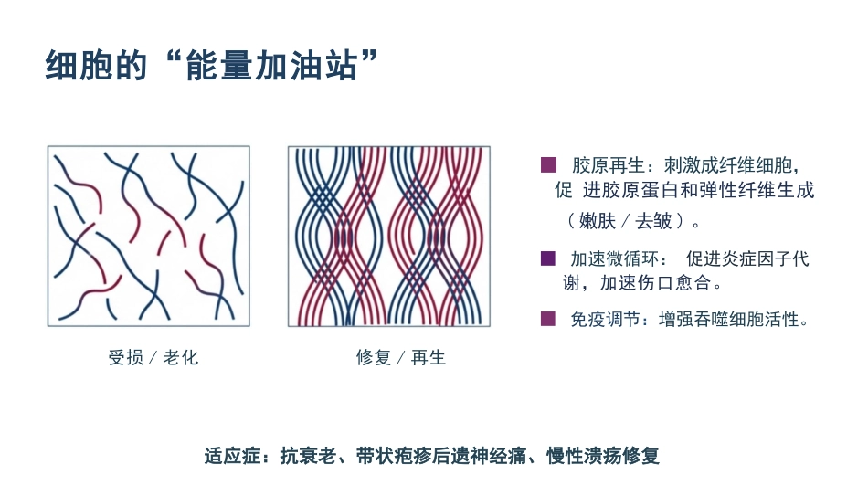 皮肤科红蓝黄光治疗护理_第11页
