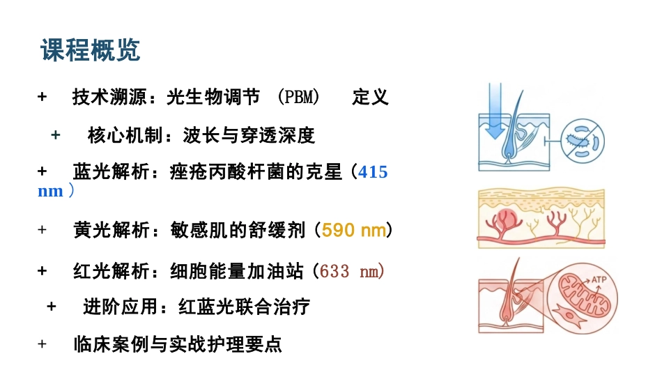 皮肤科红蓝黄光治疗护理_第2页