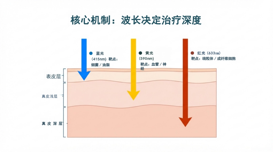 皮肤科红蓝黄光治疗护理_第4页