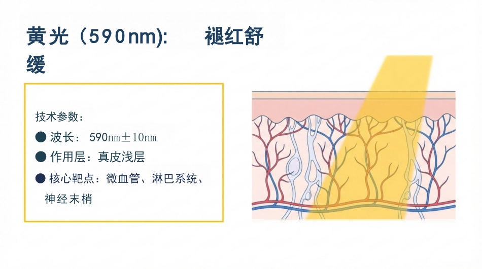 皮肤科红蓝黄光治疗护理_第8页
