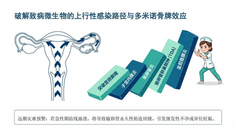 盆腔炎护理查房_第5页